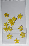 MK Dried Flowers #20 - Yellow - 1pk