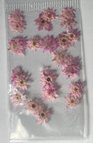 MK Dried Flowers #8 - Pink Daisies - 1pk