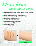 Holika Holika Aloe Facial Cleansing Foam