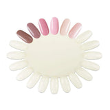 DL Pro Nail Polish Palette - Natural x 10 Pack #C234