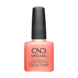 CND Fall 2024 Dynamic Duality