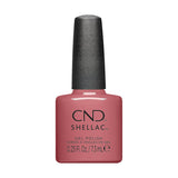 CND Fall 2024 Dynamic Duality