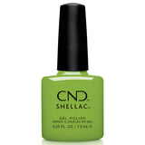 CND Shellac Gleam & Glow Summer 2024