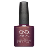 CND Fall 2024 Dynamic Duality