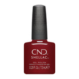 CND Fall 2024 Dynamic Duality