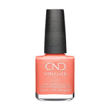 CND Fall 2024 Dynamic Duality