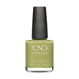 CND Fall 2024 Dynamic Duality