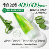 Holika Holika Aloe Facial Cleansing Foam