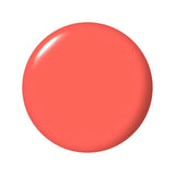 OPNLFB006