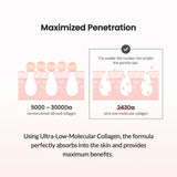 BIODANCE Pore Tightening Collagen Cream 50ml