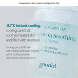 Goodal Houttuynia Cordata Hyaluron Soothing Clear Pad - 70pcs