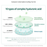 Goodal Houttuynia Cordata Hyaluron Soothing Clear Pad - 70pcs