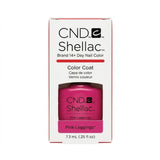 CNSH91404
