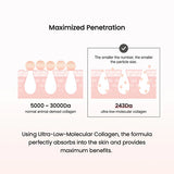 BIODANCE Pore Perfecting Collagen Peptide Cream 50ml