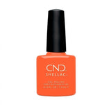 CNSH00087