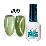 DM Jelly Cat Eye Gel Polish Collection 0.5oz