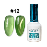 DM Jelly Cat Eye Gel Polish Collection 0.5oz