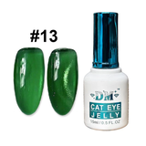 DM Jelly Cat Eye Gel Polish Collection 0.5oz