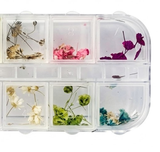 HK Dried Flowers Nail Art - 12grids