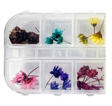 HK Dried Flowers Nail Art - 12grids