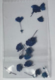 MK Dried Flowers #10 - Blue - 1pk