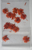 MK Dried Flowers #12 - Orange Daisies - 1pk
