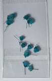 MK Dried Flowers #14 - Blue - 1pk