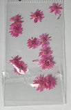 MK Dried Flowers #4 - Pink Daisies - 1pk