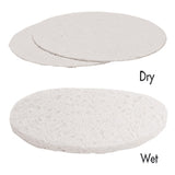Fanta Sea Cellulose Sponges - Compressed Oval White FSC701 - 25pc